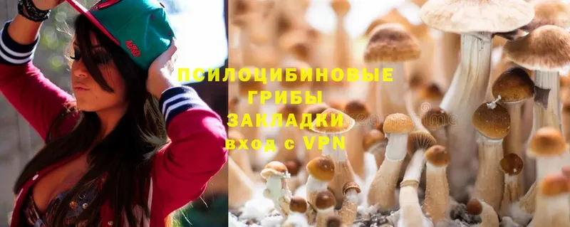 Галлюциногенные грибы Psilocybine cubensis  Анадырь 